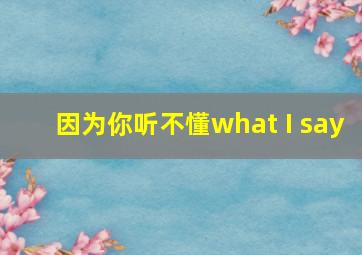 因为你听不懂what I say